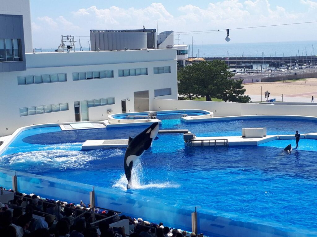 神戸須磨シーワールド