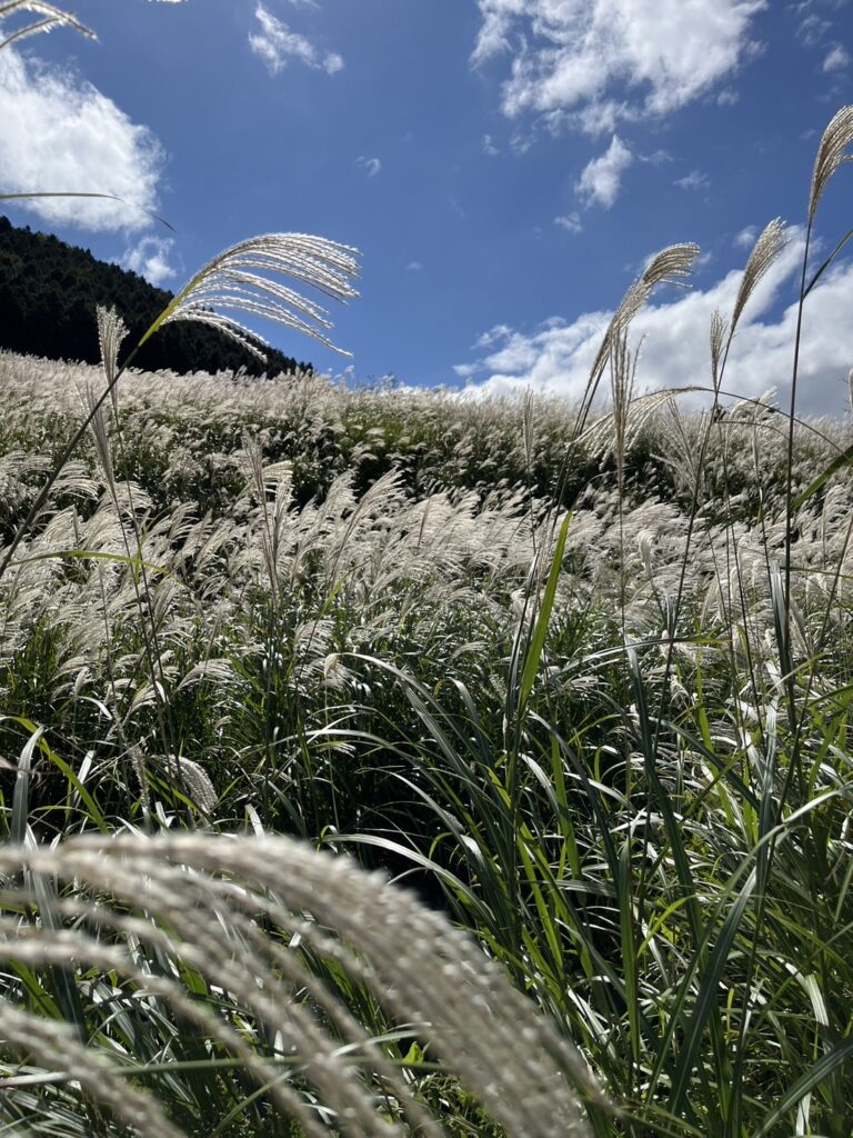 小田原・箱根旅行