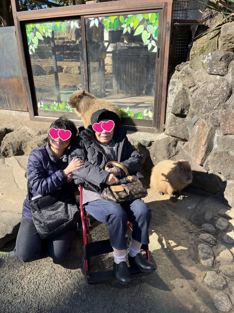 伊豆シャボテン動物公園